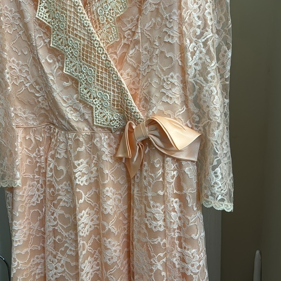 Vintage JCPenny lace dress - Picture 3 of 8